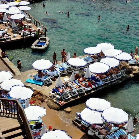 Elegance East Hotel 3*