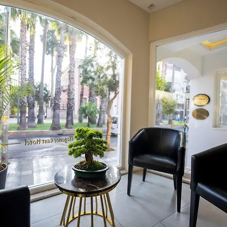 Elegance East 3* Анталья