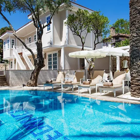 Elegance East Hotel 3*